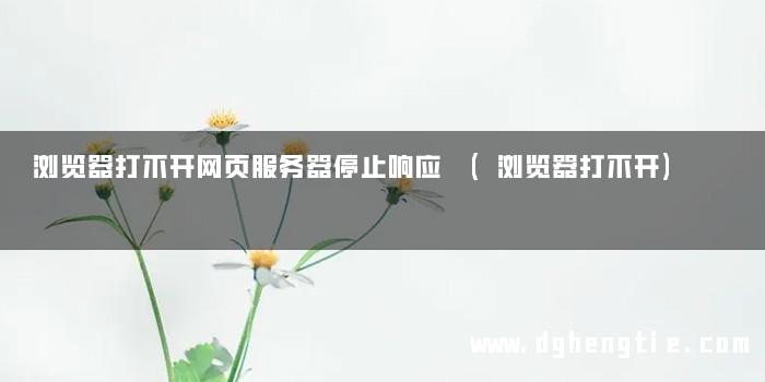 浏览器打不开网页服务器停止响应 (浏览器打不开)